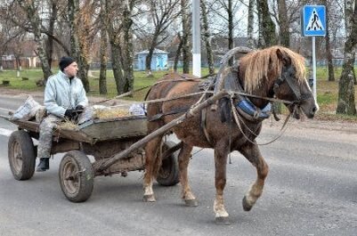 Картинка из открытых источников интернета