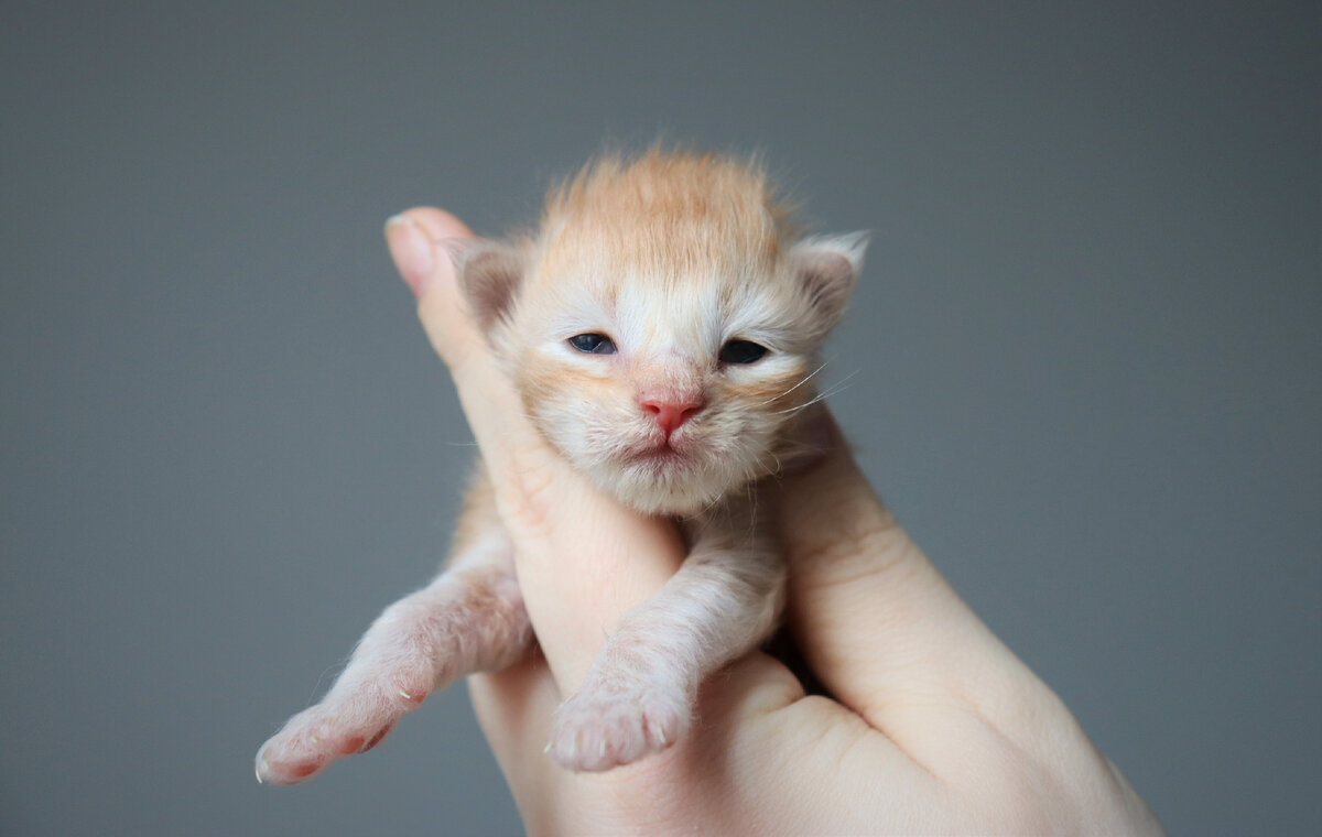 Фото из личного архива.