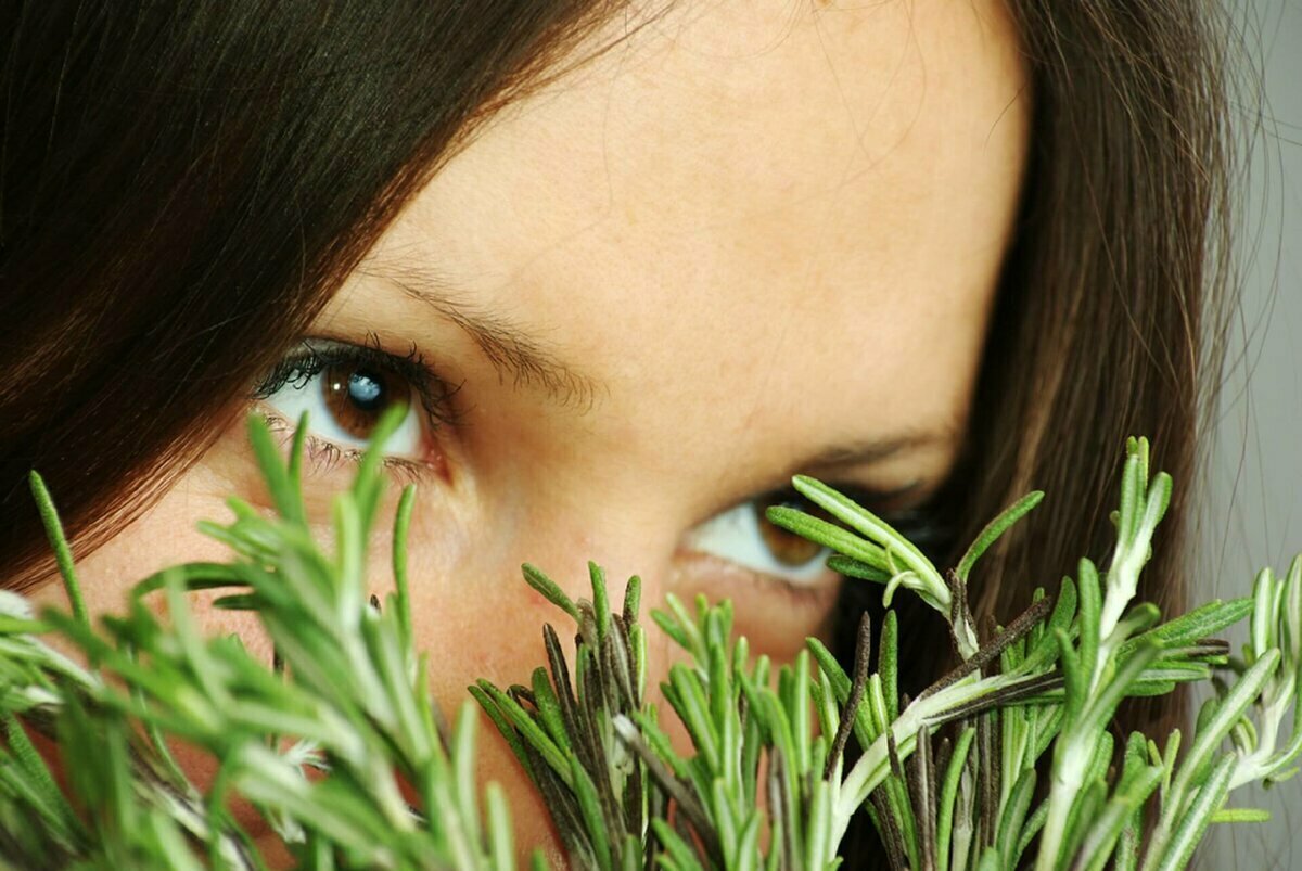 Секретный ингредиент