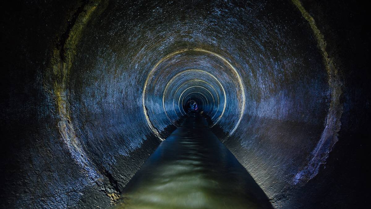    Фото: Shutterstock