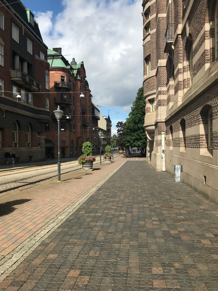 Фото из открытого доступа 