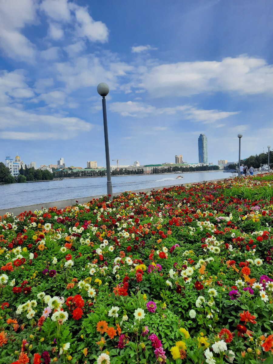 Собственное фото г. Екатеринбург 2023г набережная Рабочей Молодежи