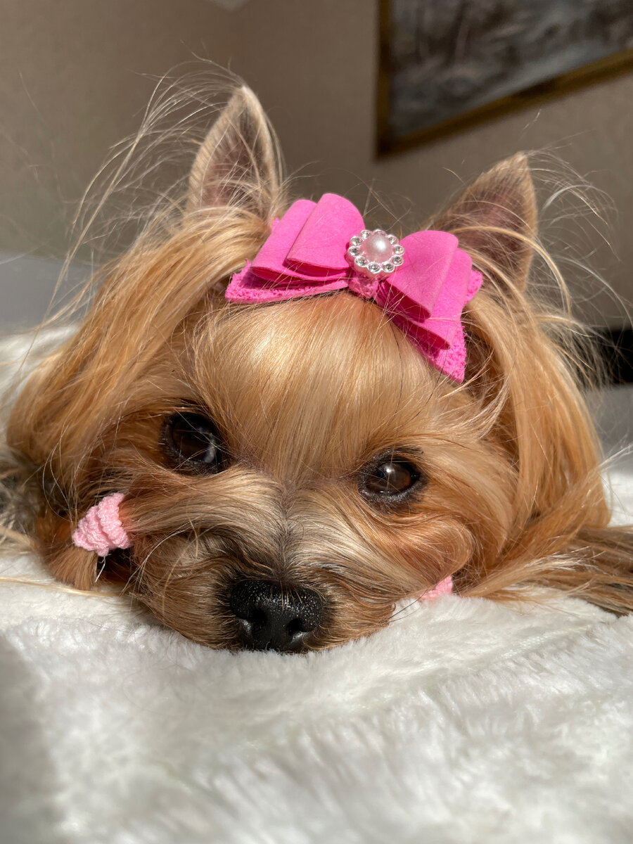 Фото автора . 