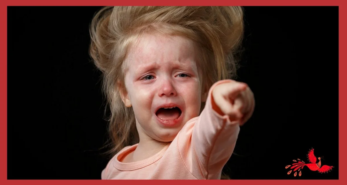 Яндекс картинки