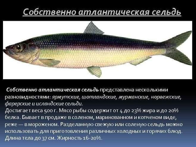 Фото в свободном доступе