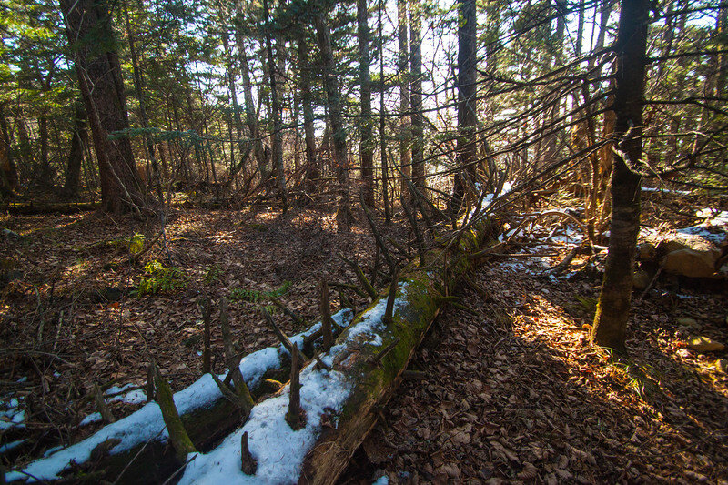Высота горы 1120 метров.  Из за того что добраться до неё можно только на своём транспорте-она не очень популярна среди туристов. Тропы читаются довольно плохо и легко сбиться с намеченного пути.