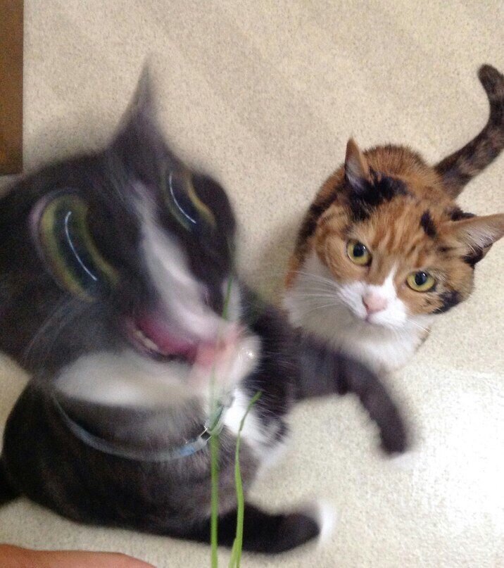 -2