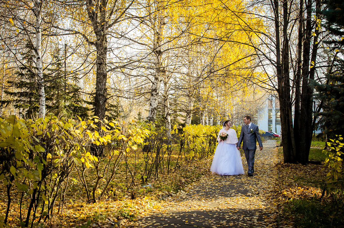 Топ-13 идеальных мест для свадебной фотосессии в Ижевске | Об одежде 🌸 |  Дзен