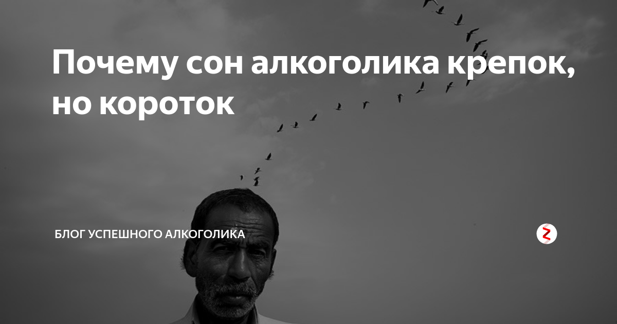 Сон алкоголика чуток. Сон алкоголика краток и тревожен. У алкоголиков сон короткий. Сон алкоголика крепкий но короткий. Сон алкоголика поговорка.