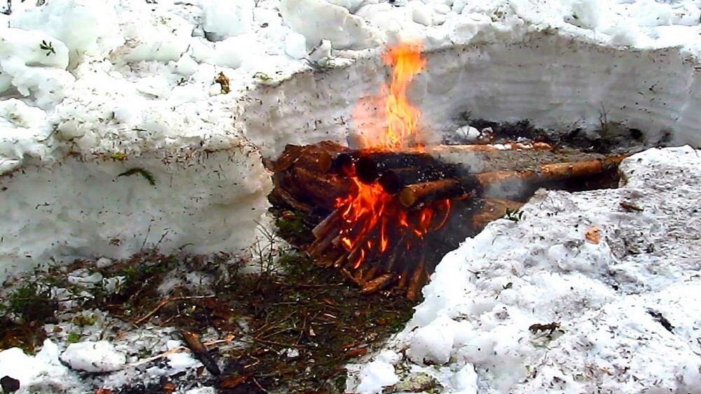 фото - freemanzone.com