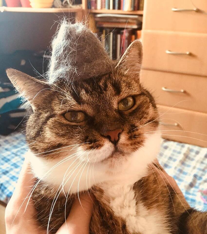 Источник: vk.com