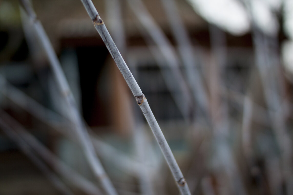 Совсем не далеко от центра столицы стоит,невредимая,деревушка Терехово.