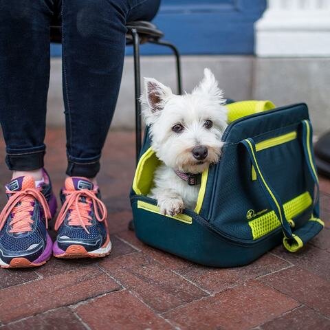 https://familypet.com