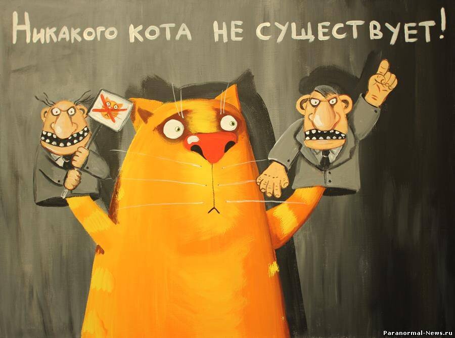 Котик здесь не просто