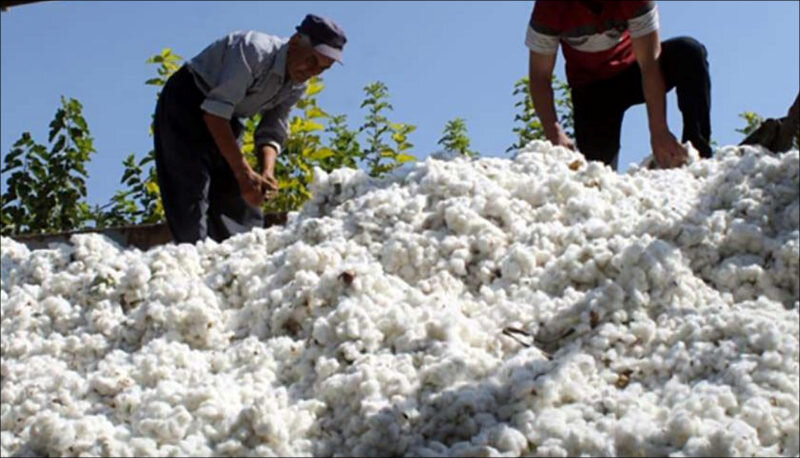 Фото с сайта Sputnik.uz