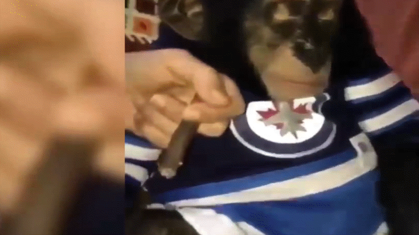 - Курить будешь?      - Нет, мне хватит, я сегодня монашку-вампира в McDonalds видел. 