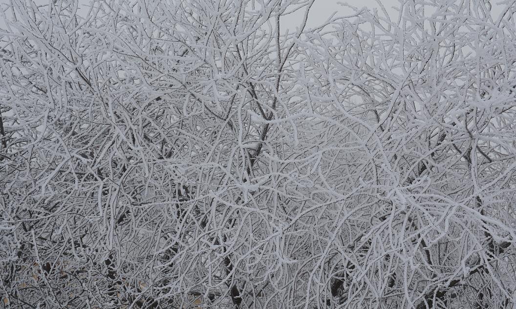 фото из личного архива