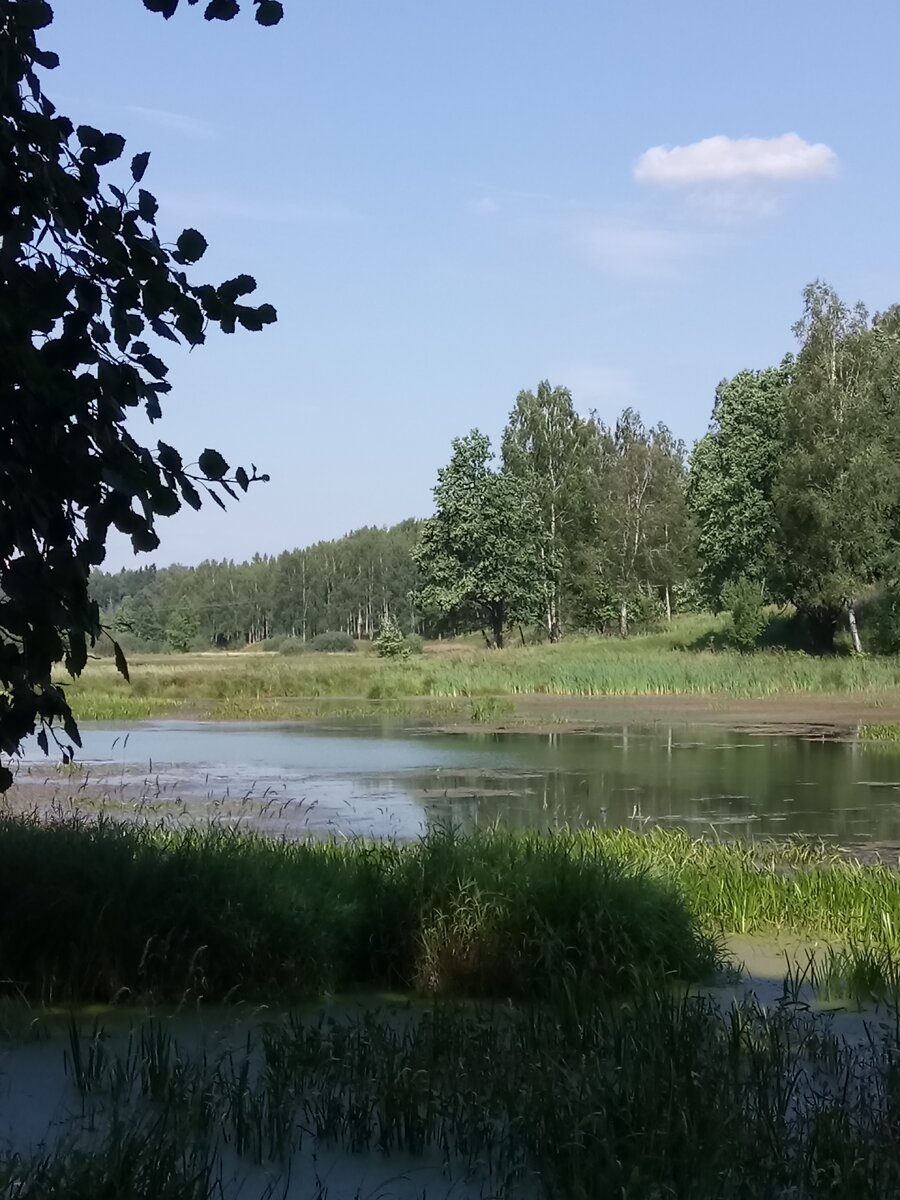 В таких красивых местах собирают мед наши пчелы
