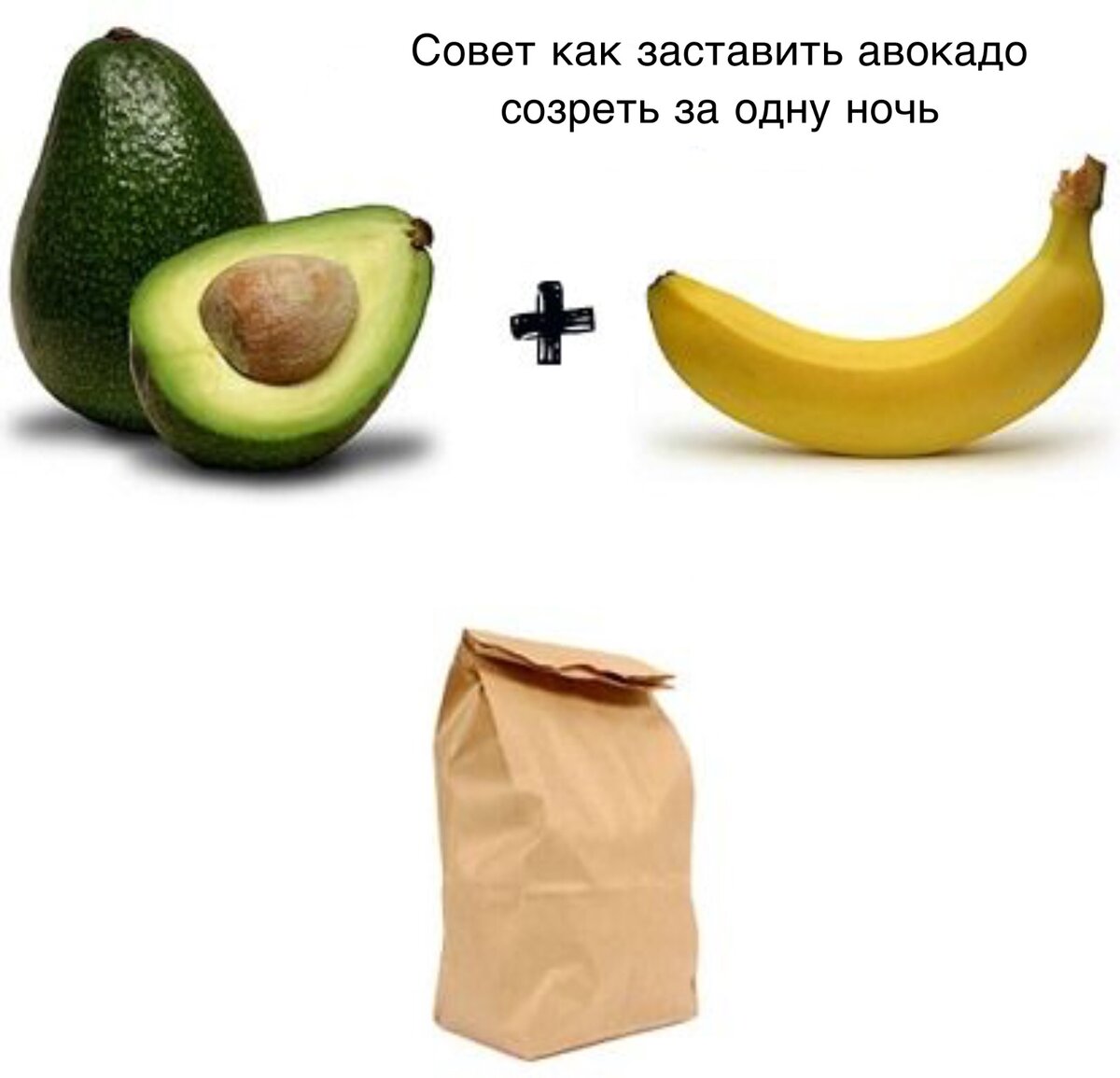 Как заставить авокадо созреть. Авокадо дозреть s bananom. Этапы роста и созревания авокадо. Спелость авокадо по цвету жопки. Как сделать чтобы авокадо быстро дозрело