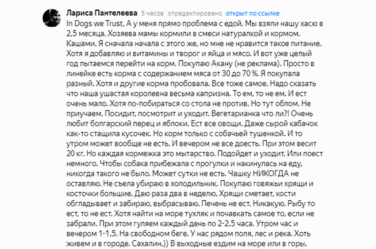 Собаки-привереды. Или как накормить малоежку. | In Dogs we Trust | Дзен