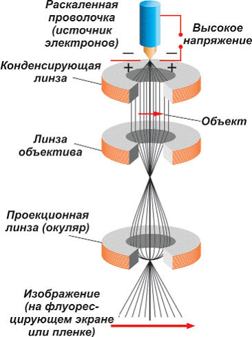 Схема электронного микроскопа