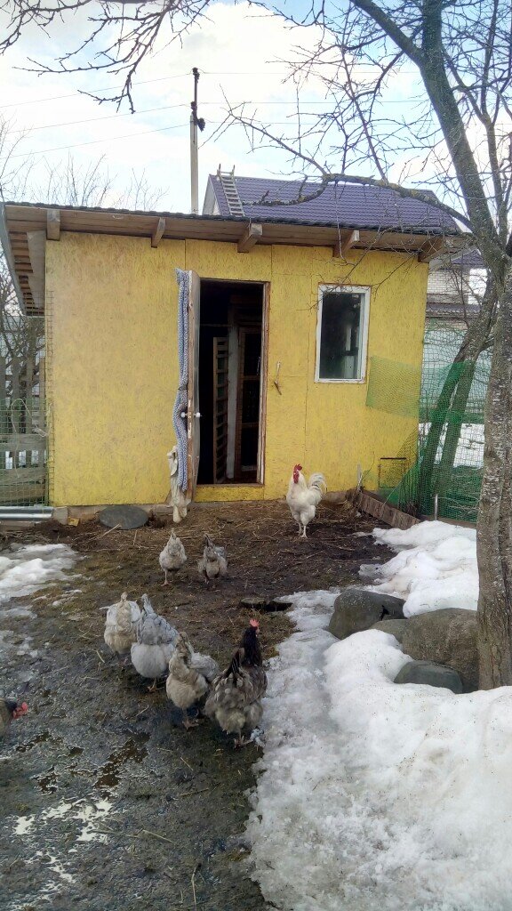 Весна, а погулять уже хочется хоть немного