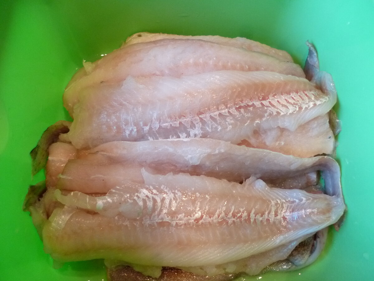 Рыба курица - Морская курица, он же азовский ромб, он же... Вся правда о калкане