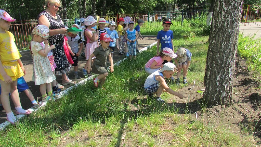 Экологическая тропа в доу картинки