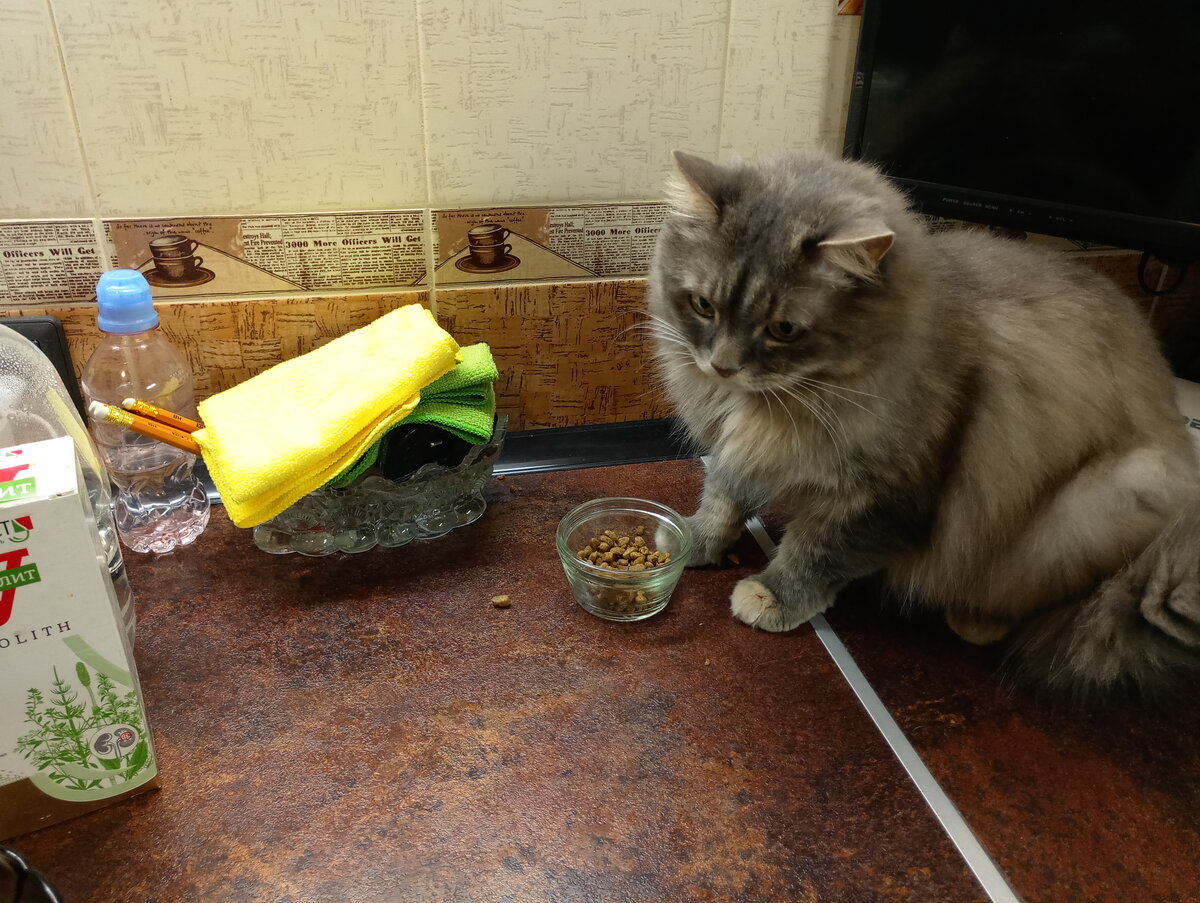 Маня, отягощенная грузом ответственности за воспитание щенка