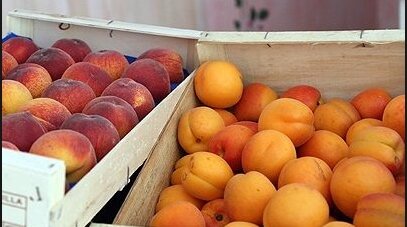 Фото с ресурса Яндекс.картинки.