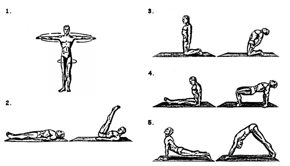 Фото использовано для иллюстрации. Источник: Яндекс Картинки.