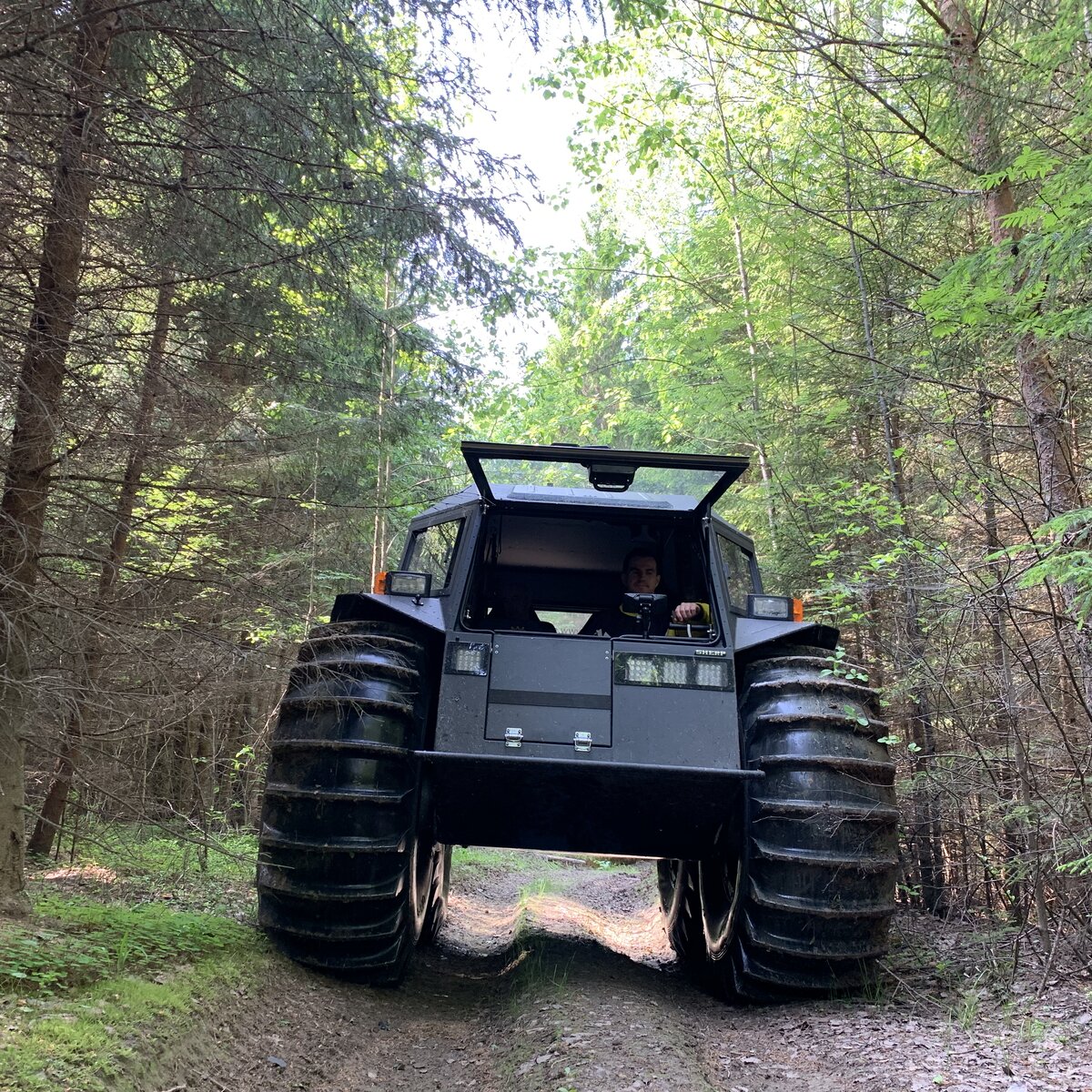 Все начиналось легко и просто. SHERP в лесу.