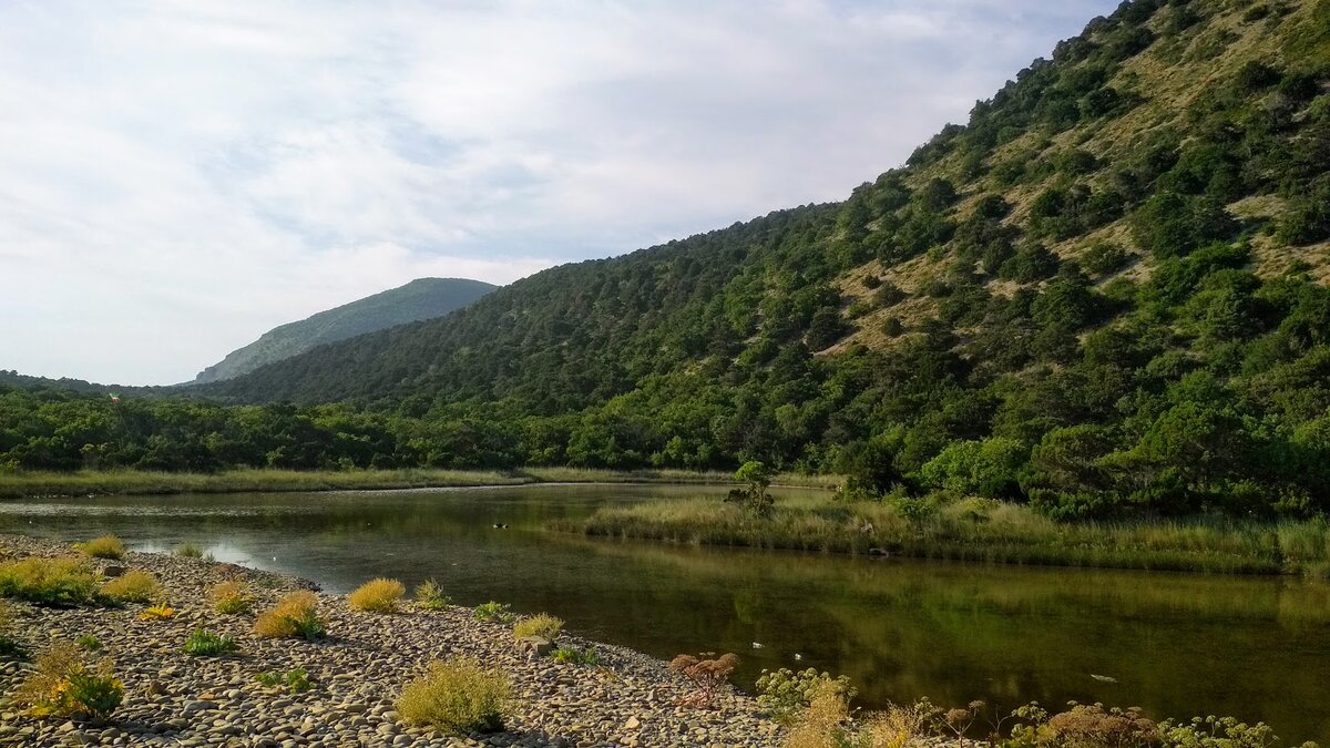 Сукко парк утриш
