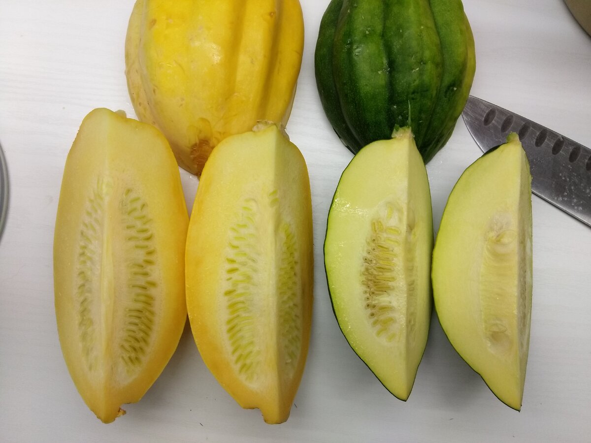 Шкурка у обеих тыковок тонкая, семена еще мягкие, незрелые.