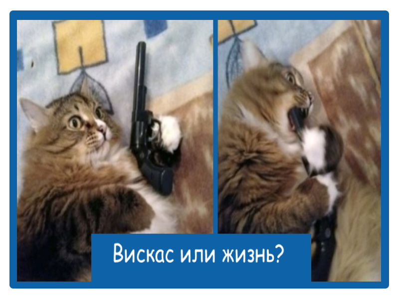 Оформление мема - "Дземчик".