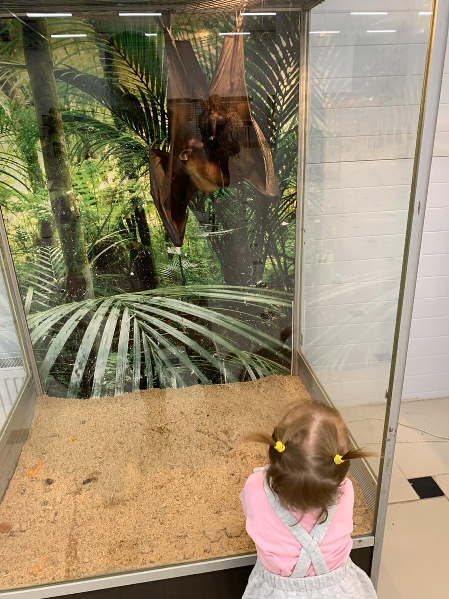 Фотогалерея животных.