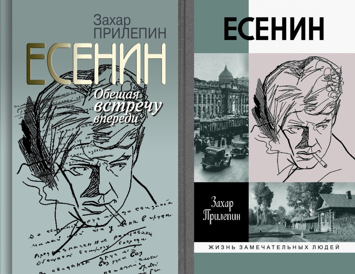 Книга вышла в двух вариантах, левый - чуть дешевле.
