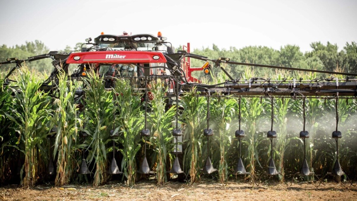 Внесение удобрение для кукурузы 