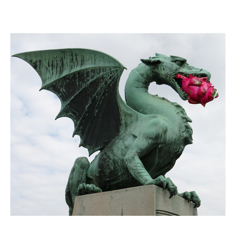 страна драконов. азиатский дракон. пазлы фэнтези. символ уэльса дракон. золотой китайский дракон статуя.