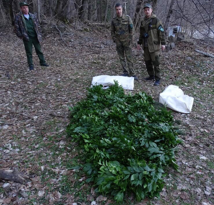 Сотрудники отдела охраны ФГБУ «Сочинский национальный парк» и сотрудники полиции задержали браконьера с поличным. Фото из соцсетей НП