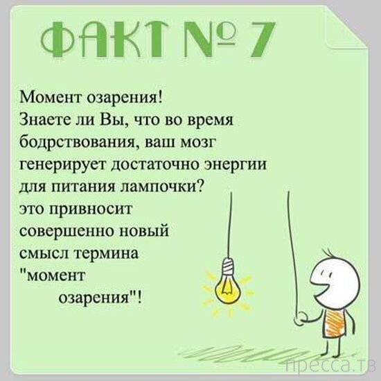 Источник фото: Яндекс
