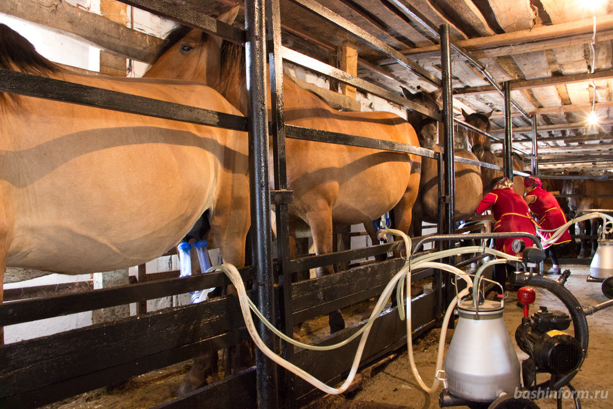 основная статья дохода дотракийцев...