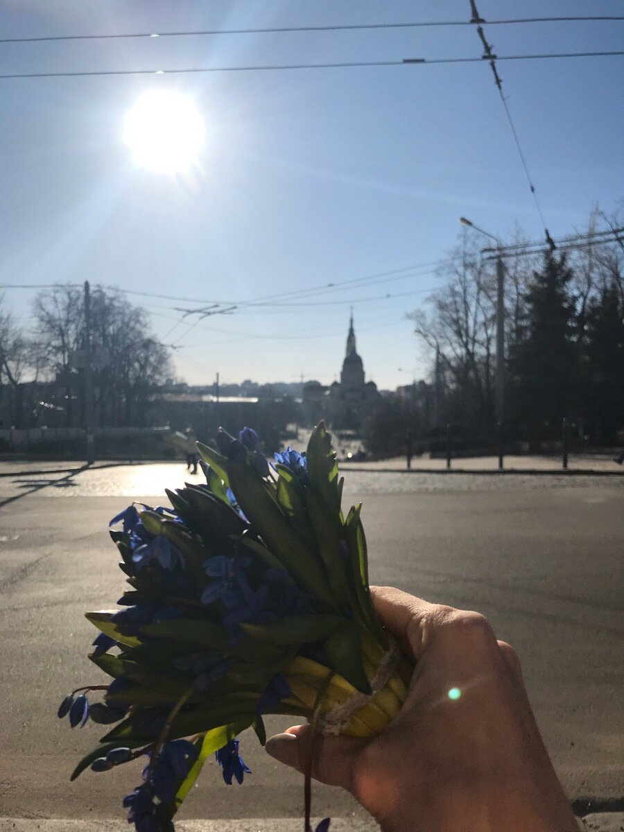 Делюсь очень старым, прабабушкиным рецептом куличей (пасок) | Заметки  психолога | Дзен