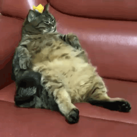 Жми на картинку, чтобы посмотреть видео. Источник: Одноклассники