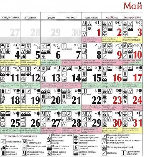 Фото взято из открытых источников 
