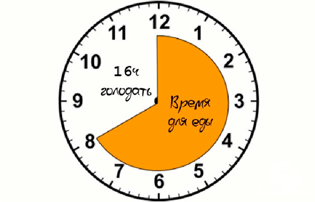 Ом 8 часов. Интервальное голодание 16/8 схема по часам. Интервальное голодание 16/8 схема для начинающих. Периодическое голодание схемы 16/8. Схема интервального голодания 16.
