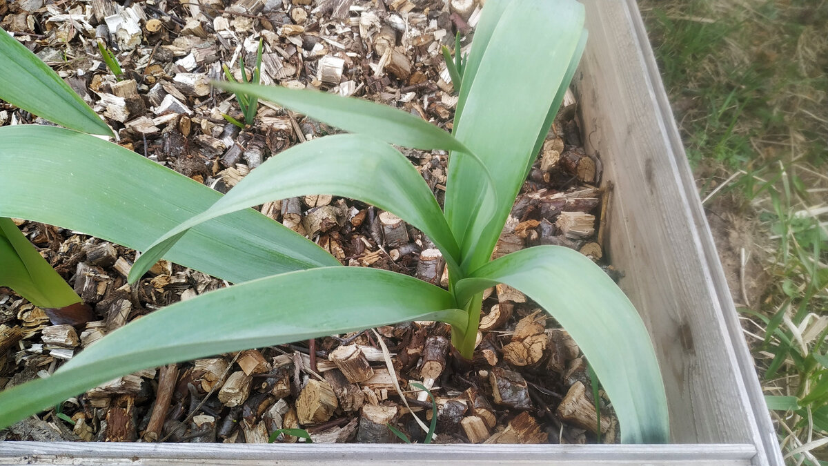 Что это? Помогите выиграть спор!