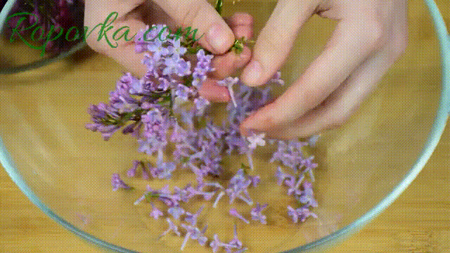 Подготовка