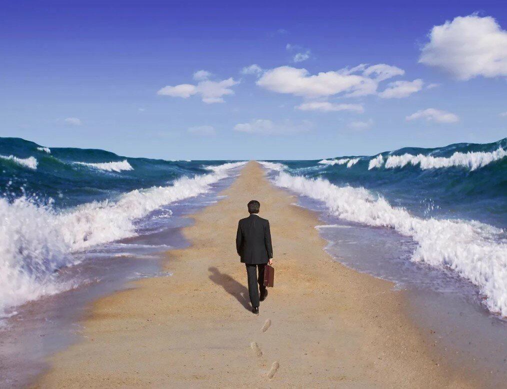 использовано фото из открытого источника Яндекса