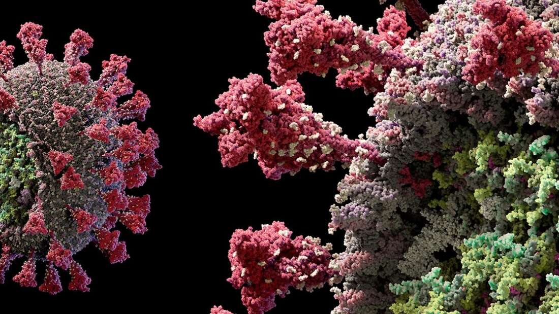 Изображение взято из Google картинки.